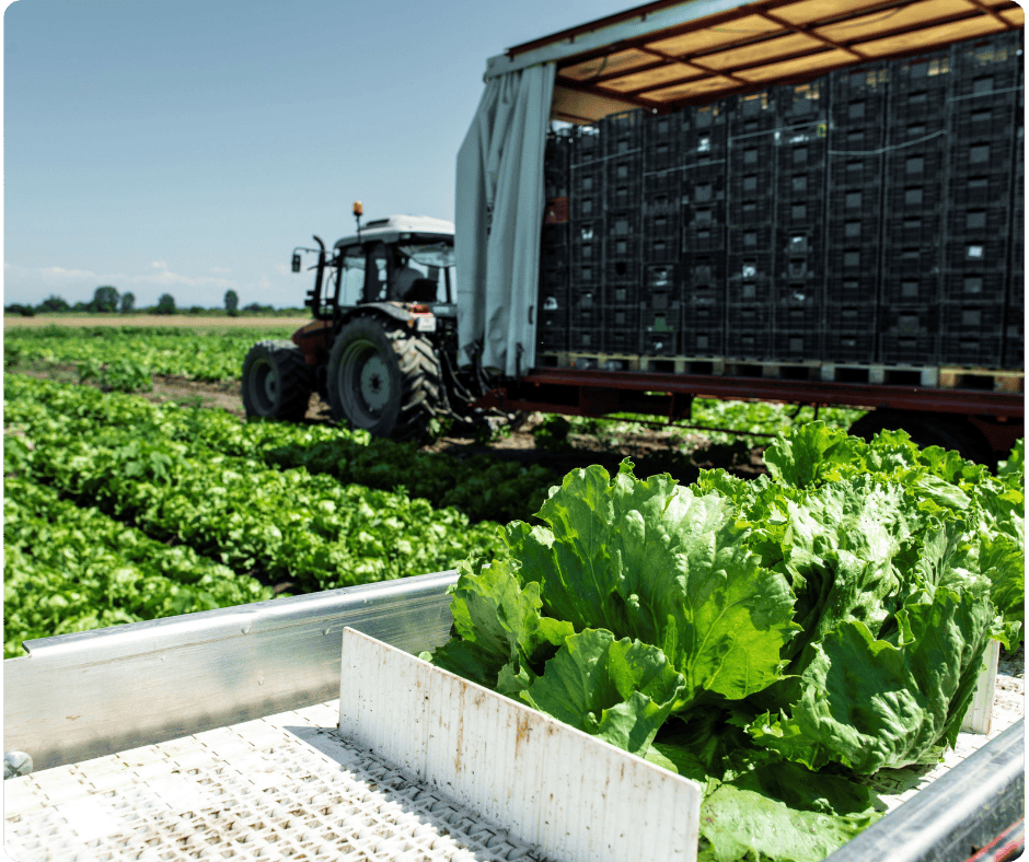 Design ohne Titel (5)