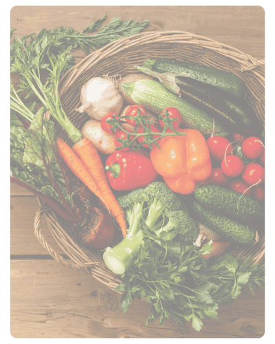 Newsletter (Instagram-Post (45)) (1)